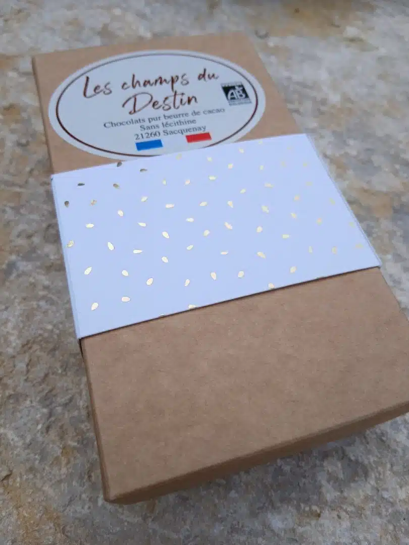 Boîte de bonbons de chocolats bio - Kraft 170 g